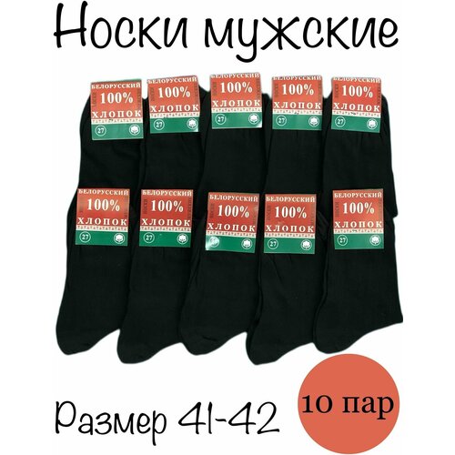 Носки Белорусский хлопок, 10 пар, размер 41-42, черный