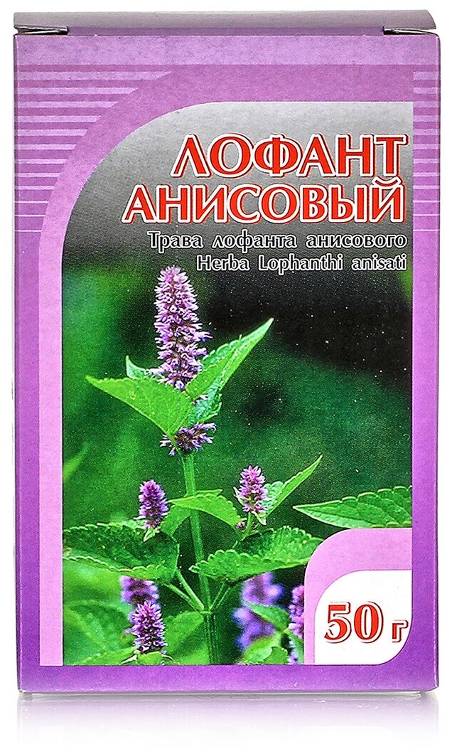 Хорст Лофант анисовый