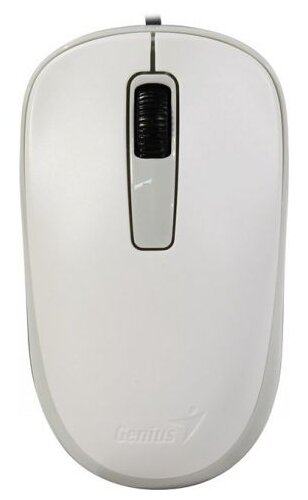 Мышь DX-125, USB, белая (white, optical 1000dpi, подходит под обе руки)