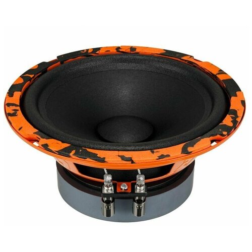 DL Audio Gryphon Pro 165 MIDBASS 322800₽