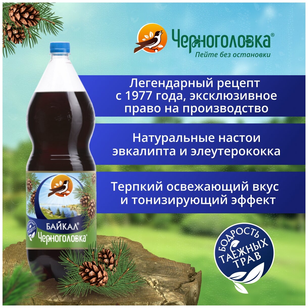 Газированный напиток Черноголовка Байкал, 6 шт по 2л - фотография № 8