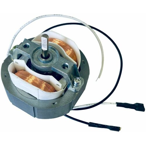 Двигатель вентилятора сушилки для овощей и фруктов GT800 228000₽