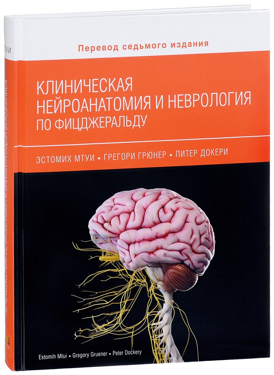 Клиническая нейроанатомия и неврология по Фицжеральду - фото №1