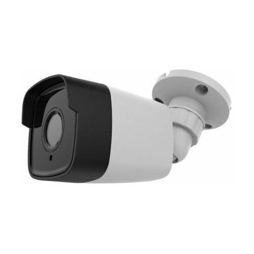 Видеокамера AltCam DCF53IR 310000₽