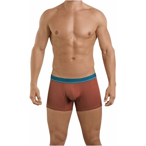 Мужские трусы боксеры коричневые Clever Attractive Boxer M (46)