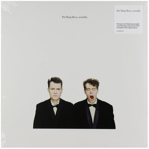 Warner Bros. Pet Shop Boys. Actually (виниловая пластинка) warner bros pet shop boys release remastered виниловая пластинка