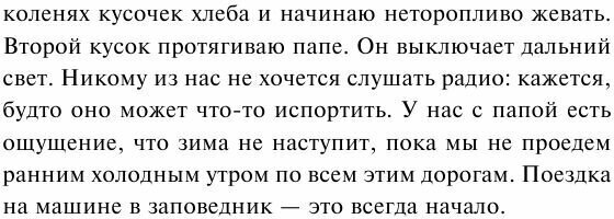 Словно птица (Люси Кристофер, Татьяна Артюхова, переводчик) - фото №10