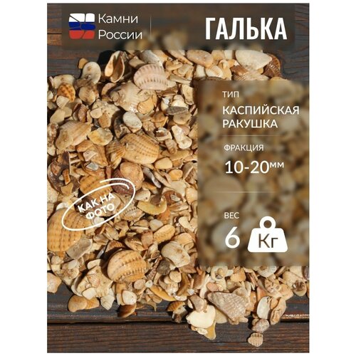 Галька для аквариума Каспийская ракушка (10-20мм, 6кг)