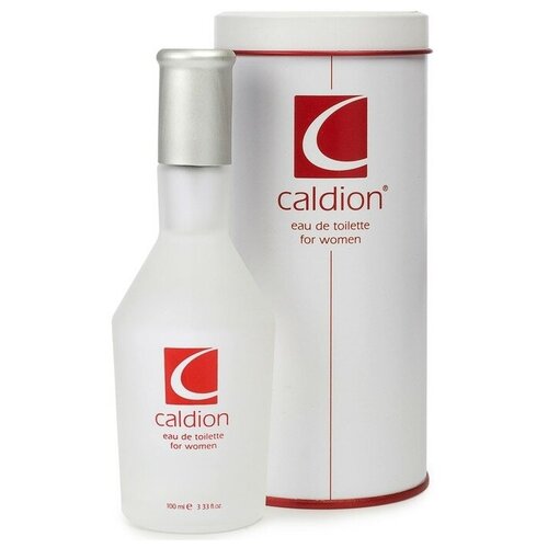 Парфюмерная вода мужская Caldion men, 100 мл
