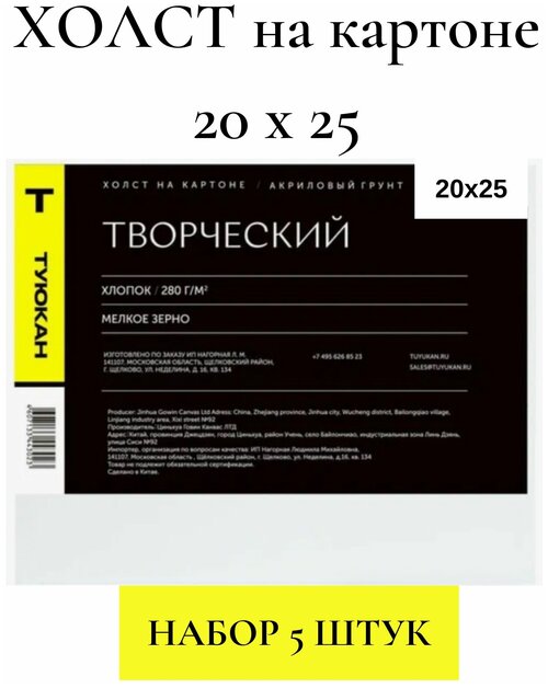 Холст на картоне грунтованный Творческий, 20х25, Туюкан, набор 5 шт