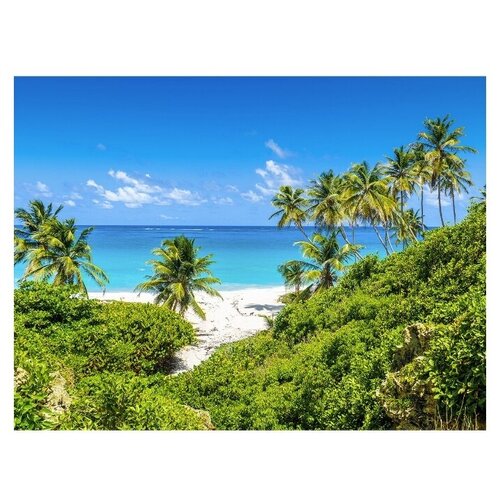 Фотообои Пляж 450 х 270 м Flizelini 2013-5F 7490₽