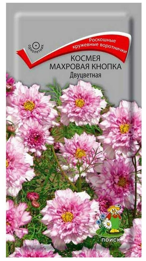 Космея Махровая кнопка Двуцветная 0,1г Одн 80см (Поиск)