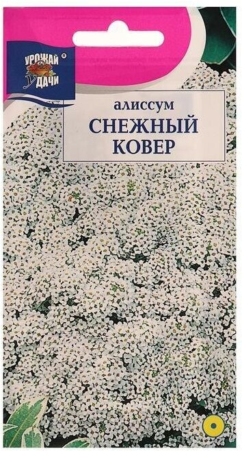 Семена цветов Цв Алиссум "Снежный ковер"01 гр