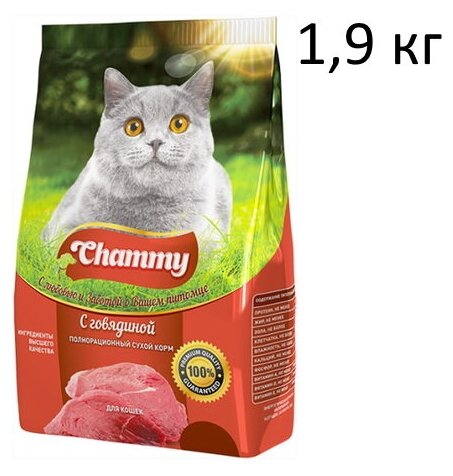 Полнорационный сухой корм Chammy для кошек с говядиной,1.9кг - фотография № 9