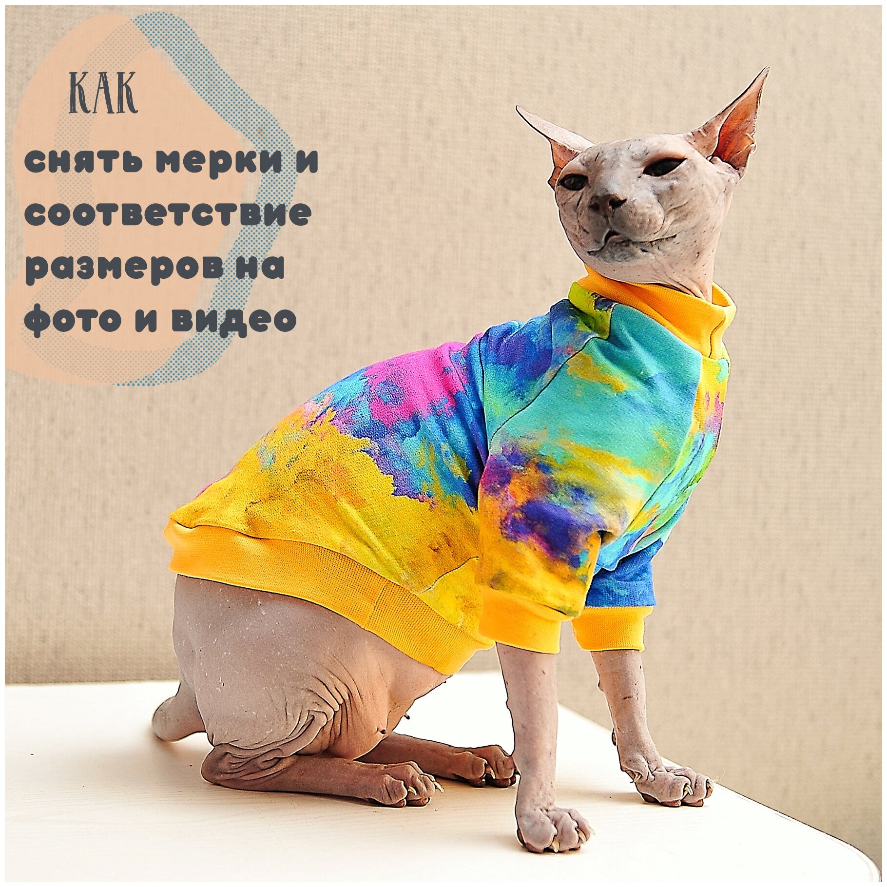 Одежда для кошек и котов - трикотажная кофта с рисунком Фестиваль красок, подходит для сфинксов - фотография № 5