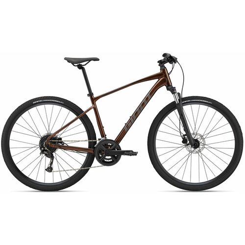 Велосипед Giant Roam 2 Disc - 2022 (L) 700 giant roam 2 disc 2022 black xl требует финальной сборки