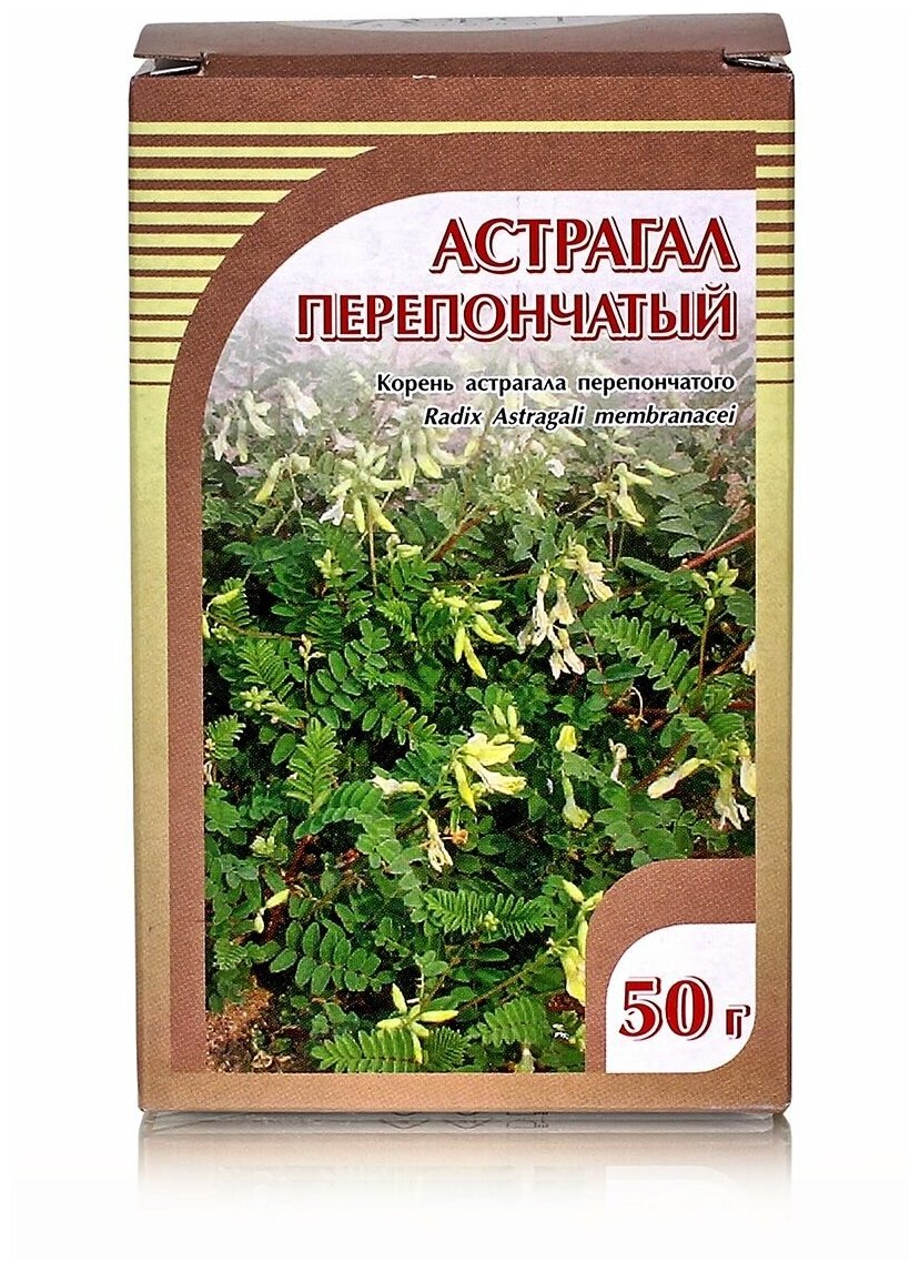 Хорст корень Астрагал перепончатый, 50 г