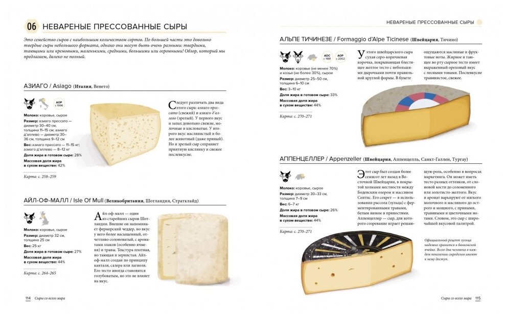 Сырный атлас гурмана. Скажите «CHEESE!» - фото №5