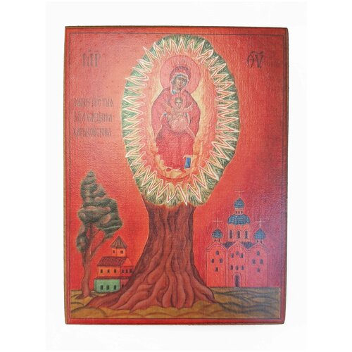 Икона Елецкая Божья Матерь, размер - 30х40 икона божья матерь одигитрия размер 30х40