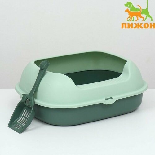 Туалет с бортом 46 х 38 х 18 см зелёный 1808₽