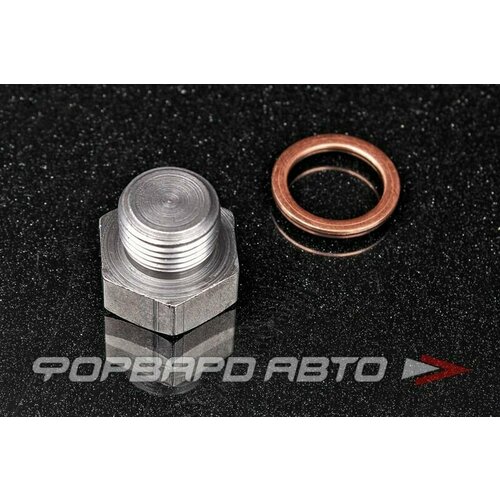 Заглушка лямбда-зонда М1815 мм 528₽