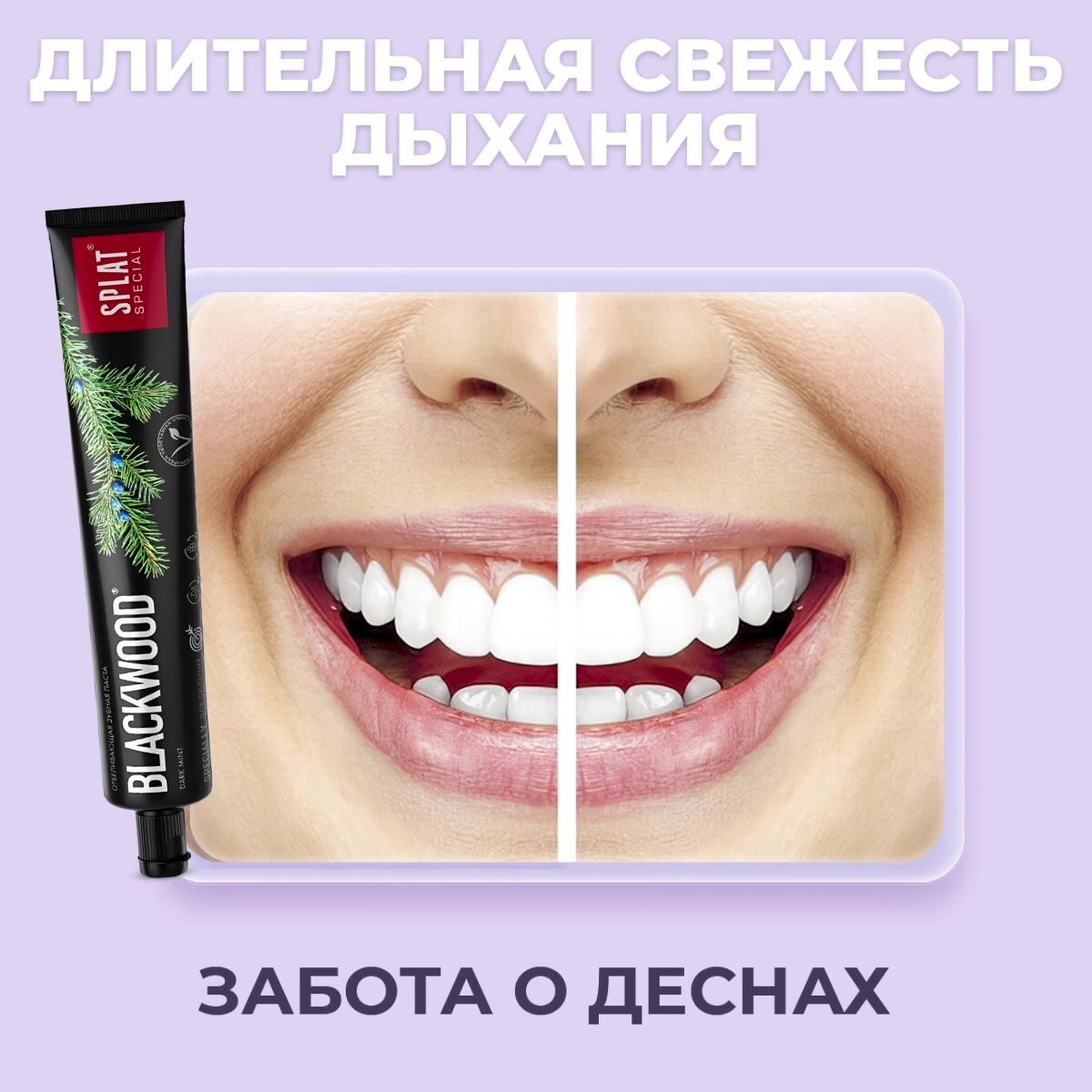 Зубная паста чёрная для отбеливания зубов SPLAT BLACKWOOD, 75 мл, набор 2шт — фото 1