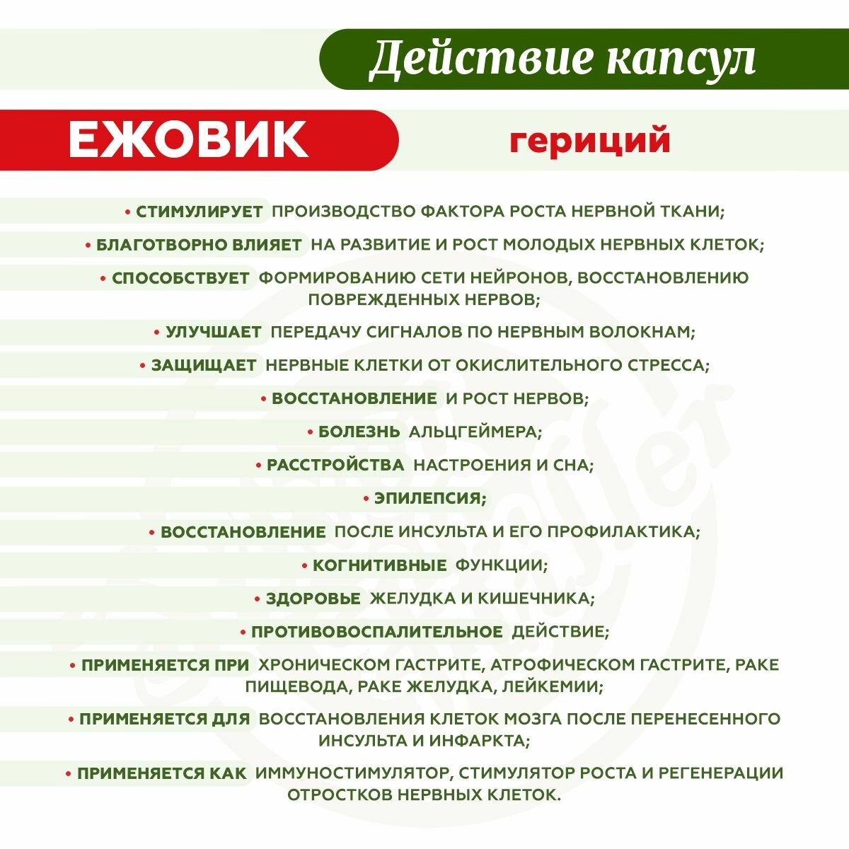 Иммуномодуляторы При Онкологии Ежовик гребенчатый в капсулах при инсульте, гастрите, раке желудка и пищевода, эпилепсии, лейкемии, 60 шт Silver Hiller