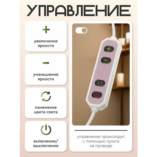 Лампа светодиодная бестеневая СТАРТ для мастеров маникюра и наращивания ресниц на струбцине 22 Вт 2200 лм 3991₽