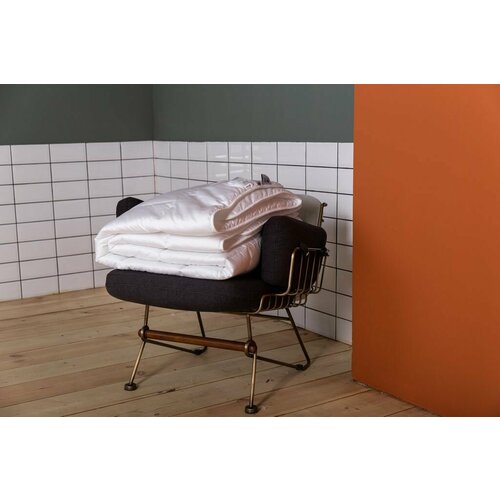 Одеяло German Grass, Premium Familie Non-allergenic, силиконизированое волокно, всесезонное, 200х220см