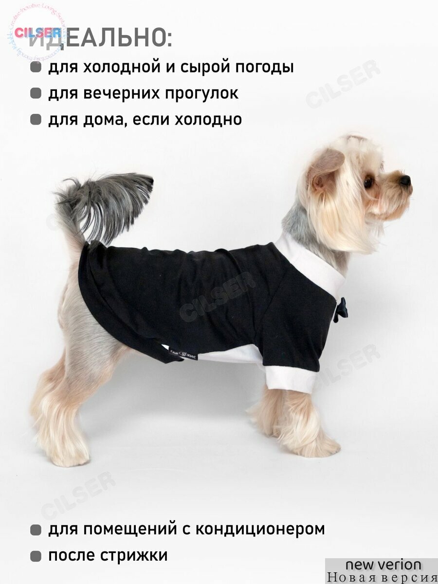 Одежда для животныхA — фото 1