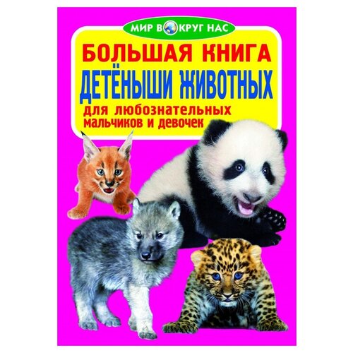 фото Завязкин о.в., турбанист д.с. "мир вокруг нас. большая книга. детеныши животных" crystal book