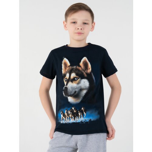 фото Футболка ronda, размер 140, синий