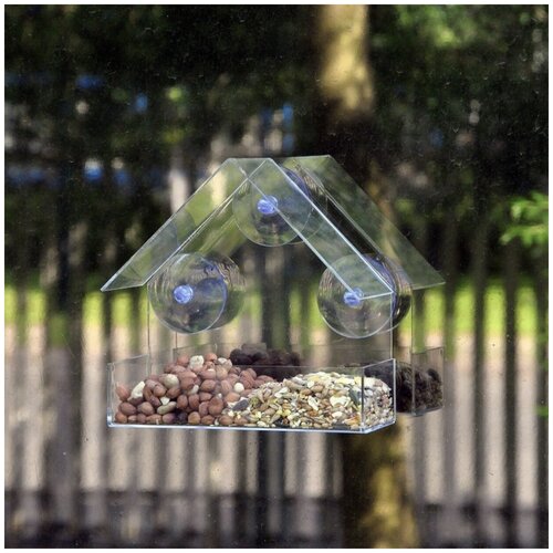 Кормушка для птиц на окно на присосках прозрачная кормушка для птиц на присосках