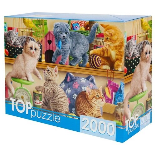 Пазл 'Смешные котята в зоомагазине' 2000 элементов пазл милые котята 2000 элементов