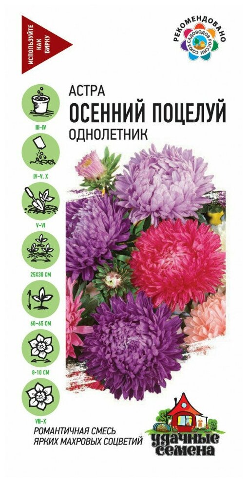 Удачные семена Астра Осенний поцелуй однолетняя пионовидная смесь 03 гр