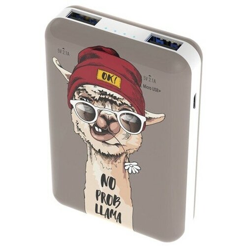 Внешний аккумулятор Ritmix RPB-10007 Bulldog 145500₽