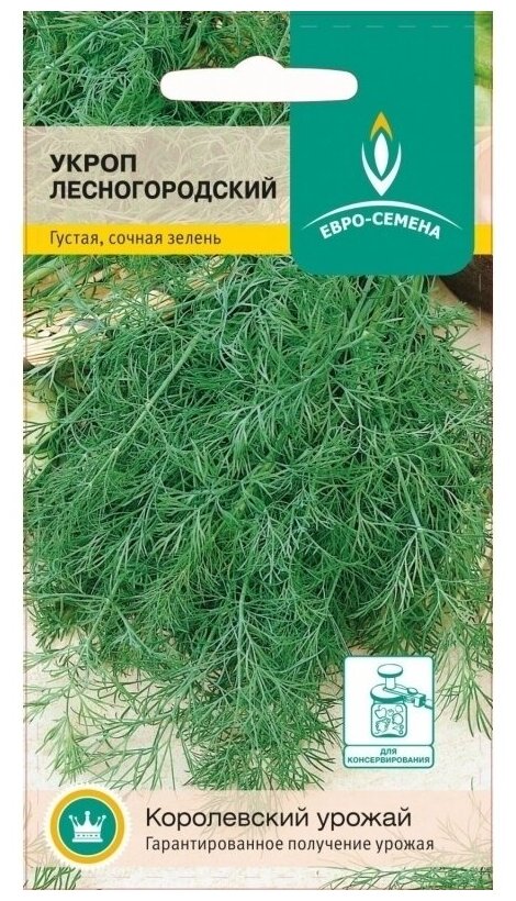 Укроп Лесногородский. Семена. Среднеспелый сорт. Период от всходов до уборки на зелень 35-40 дней