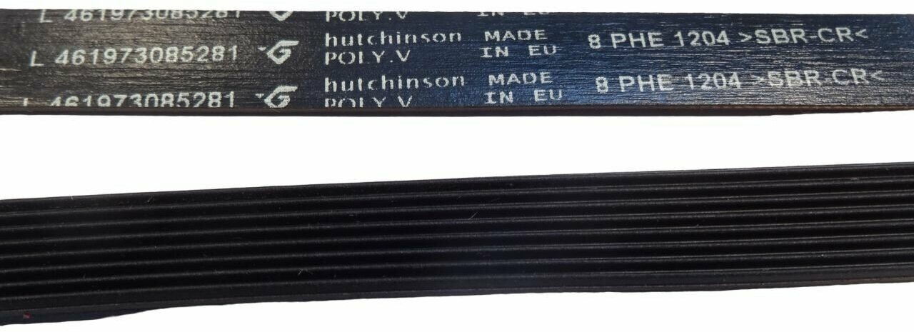 фото Ремень для стиральной машины Вирпул (Whirlpool) L-1204 H8 (HUTCHINSON) черный 481235818167