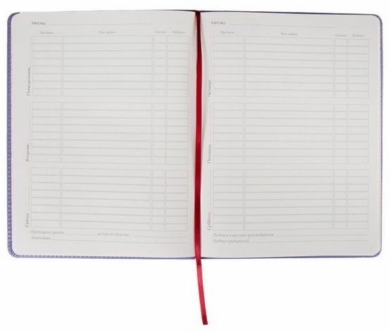 Дневник универсальный для 1-11 классов, 48 листов SIDNEY NEBRASKA, твердая обложка, искусственная кожа, термотиснение, ляссе, блок 70 г/м2, сиреневый