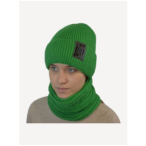 Комплект шапка и снуд ARABELLA для мальчика на флисе зима-осень (размер 52-54 см)арт.119_222 шерсть (зеленый)