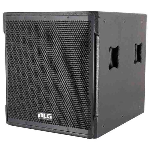 Сабвуфер BLG Audio BW13-18WA назначение концертная black 6695000₽
