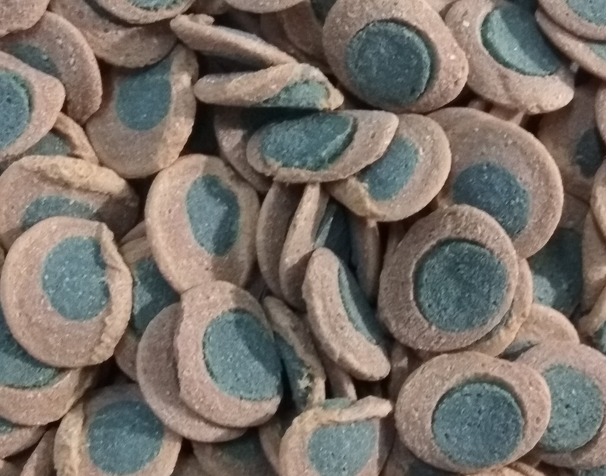 Корм для травоядных донных рыб (вейферы) Tetra Pleco Spirulina Wafers 100 г (205 мл) - фотография № 1