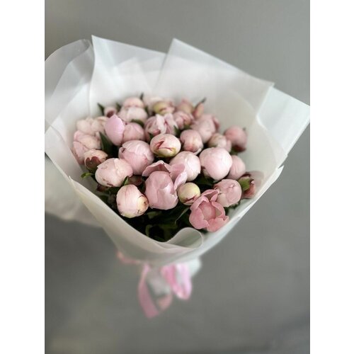 Букет из 31 розового пиона. LoVa Flowers