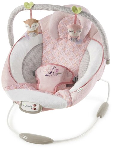 Bright Starts InGenuity Cradling Bouncer Audrey 11202