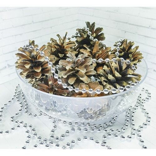 Сосновые шишки для поделок / для декора 50 шт