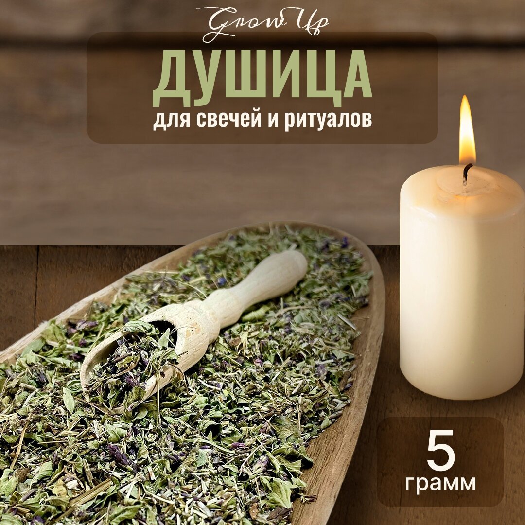 Сухая трава Душица для свечей и ритуалов 5 гр