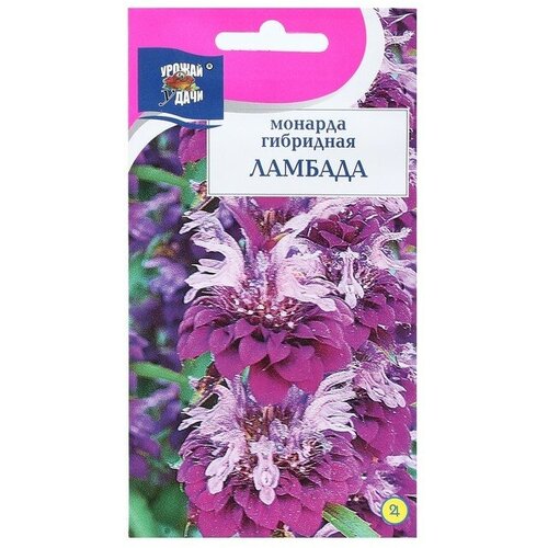 Семена цветов Монарда гибридная 