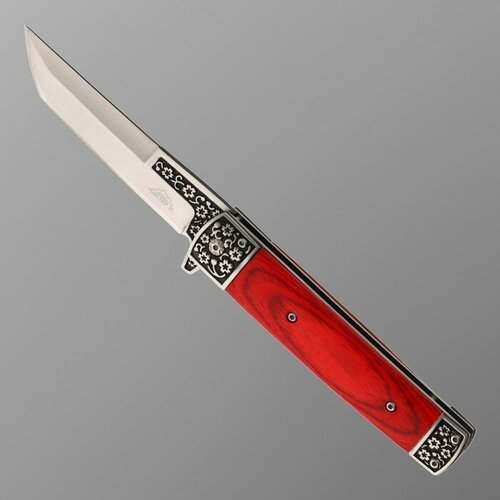 Нож складной Танто, ручка дерево 22,8см, клинок 9,5см