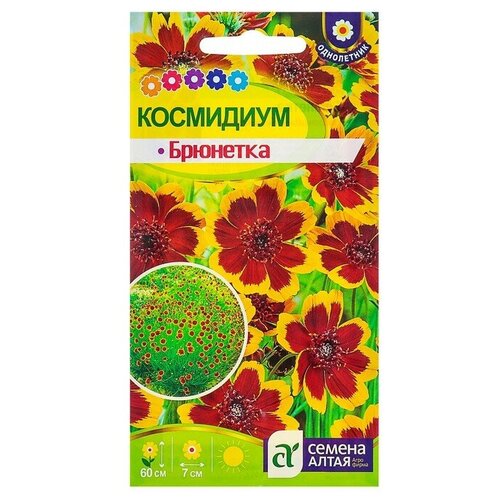 Семена цветов Космидиум Брюнет, О, цп, 0,01 г
