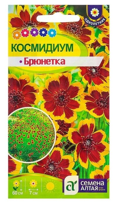 Семена цветов Космидиум "Брюнет", О, цп, 0,01 г